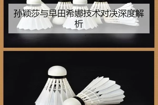 孙颖莎与早田希娜技术对决深度解析